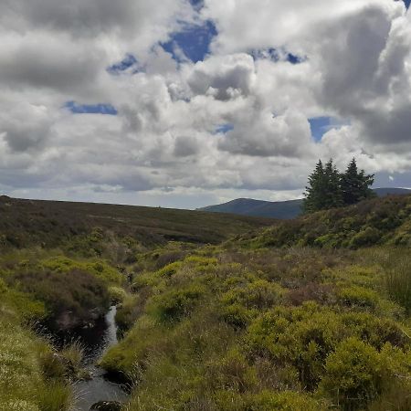 Ensuite At The Foot Of Dublin Mountains المظهر الخارجي الصورة
