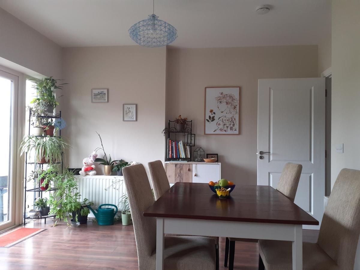 Ensuite At The Foot Of Dublin Mountains المظهر الخارجي الصورة