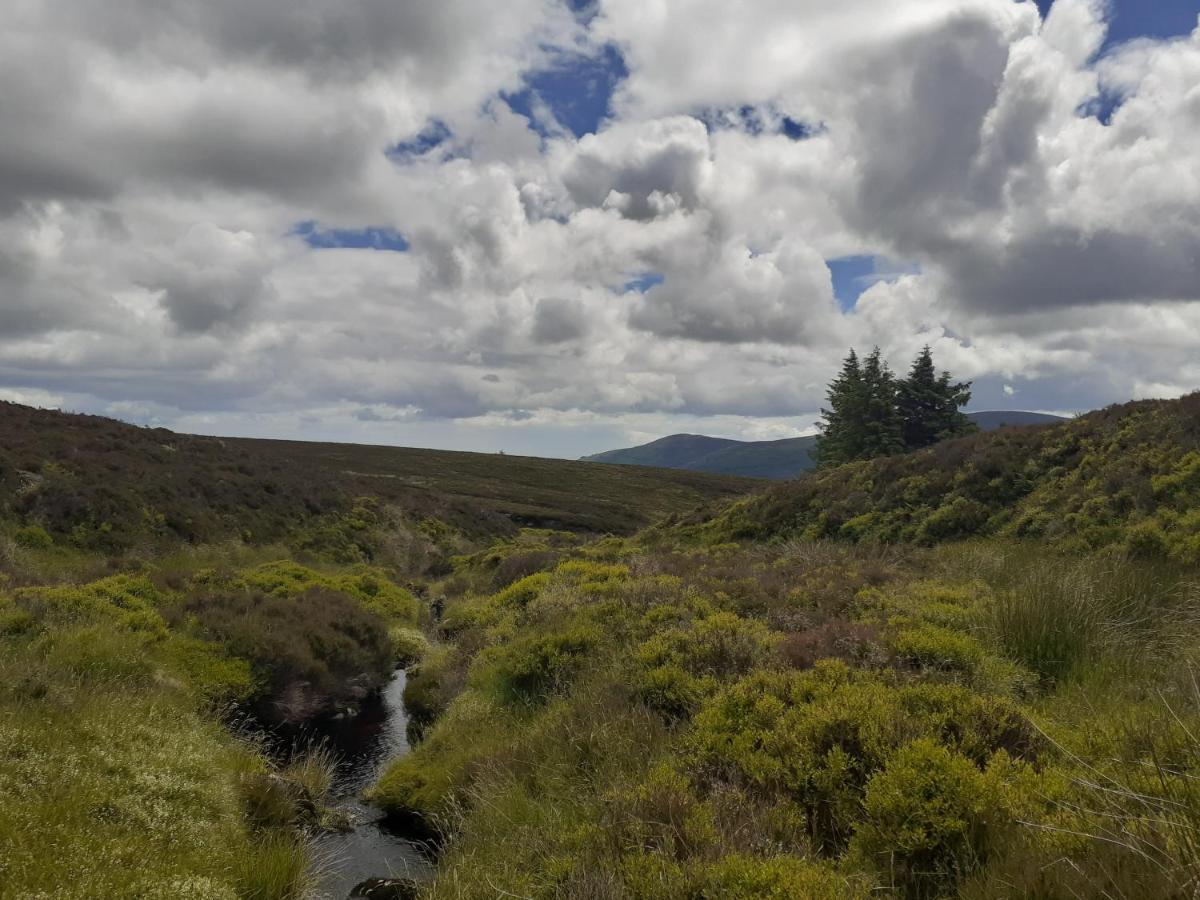 Ensuite At The Foot Of Dublin Mountains المظهر الخارجي الصورة
